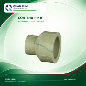 2380 cth125110t con thu ppr tien phong d125 110 pn20