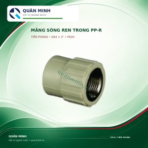 2415 rt63t mang song ren trong ppr tien phong d63x2 pn20