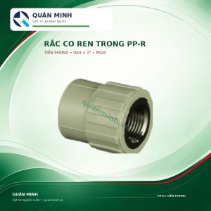 2440 rcrt63t rac co ren trong ppr tien phong d63x2 pn20