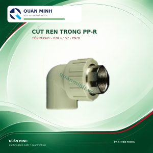 2445 crt20122t cut kep ren trong ppr tien phong d20x1 2 pn20