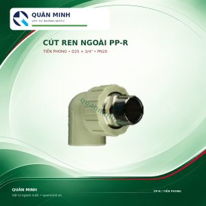 2449 crn2534t cut ren ngoai ppr tien phong d25x3 4 pn20