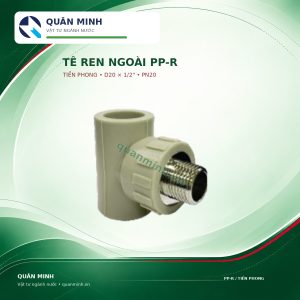 2456 trn2012t te ren ngoai ppr tien phong d20x1 2 pn20