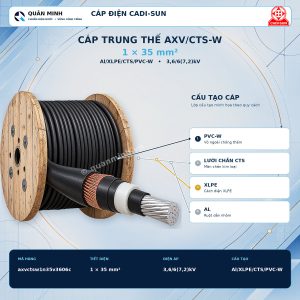 cadi sun cap trung the axv cts w 1x35mm2 al xlpe cts pvc w 3 6 6 7 2 kv