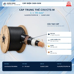 cadi sun cap trung the cxv cts w 1x70mm2 cu xlpe cts pvc w 3 6 6 7 2 kv