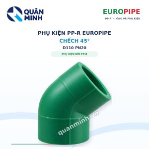 chech ppr europipe d110 pn20