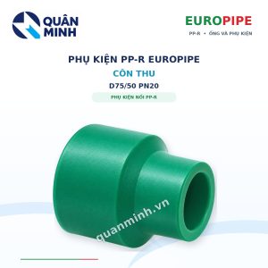 con thu ppr europipe d75 50 pn20
