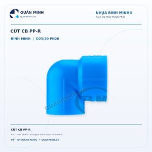 cut cb ppr binh minh d25 20 pn20