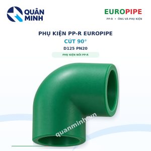 cut ppr europipe d125 pn20