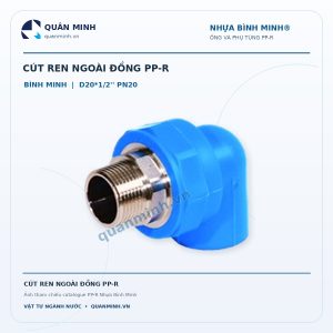 cut ren ngoai dong ppr binh minh d20 1 2 pn20