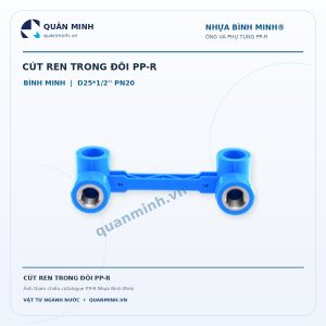 cut ren trong doi ppr binh minh d25 1 2 pn20