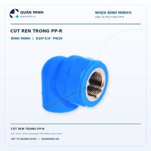 cut ren trong ppr binh minh d20 3 4 pn20