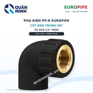 cut ren trong ppr europipe uv d20 1 2 pn20