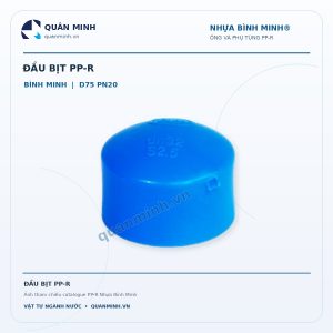 dau bit ppr binh minh d75 pn20