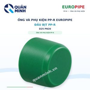 dau bit ppr europipe d25 pn20