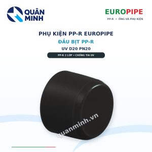 dau bit ppr europipe uv d20 pn20