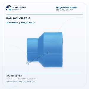 dau noi cb ppr binh minh d75 63 pn20