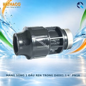 hathaco mang song 1 dau ren trong d40x1 1 4 pn16