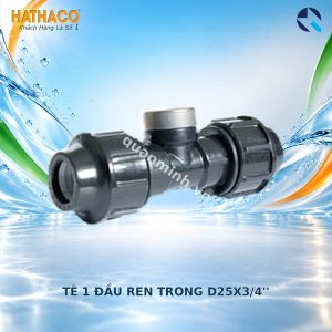 hathaco te 1 dau ren trong d25x3 4