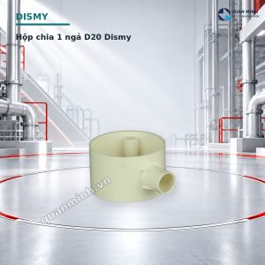 hop chia 1 nga d20 dismy