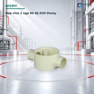 hop chia 2 nga 90 o d20 dismy
