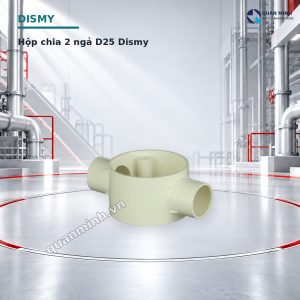hop chia 2 nga d25 dismy
