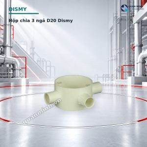 hop chia 3 nga d20 dismy