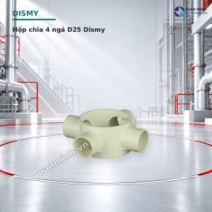 hop chia 4 nga d25 dismy