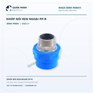 khop noi ren ngoai ppr binh minh d32 1