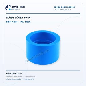mang song ppr binh minh d63 pn20