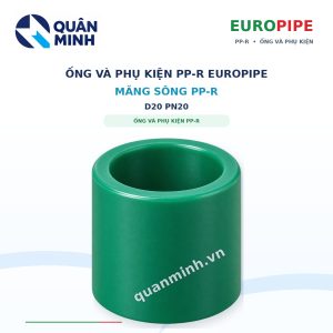 mang song ppr europipe d20 pn20