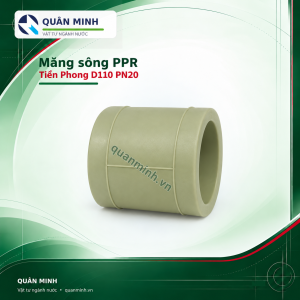 mang song ppr tien phong d110 pn20