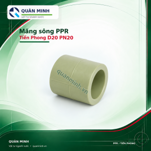 mang song ppr tien phong d20 pn20