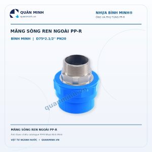 mang song ren ngoai ppr binh minh d75 2 1 2 pn20