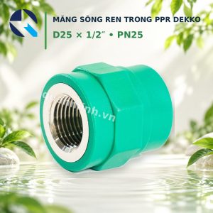 mang song ren trong ppr dekko d25 1 2 pn25