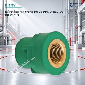 noi thang ren trong pn 25 ppr dismy uv dn 25 3 4