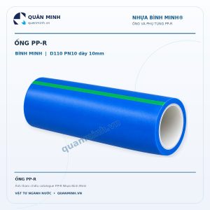 ong ppr binh minh d110 pn10 day 10mm