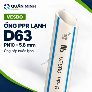 Ống Lạnh PPR Vesbo D63 pn10
