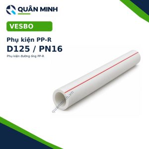 ong ppr vesbo d125 pn16