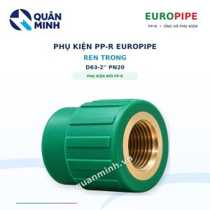 ren trong ppr europipe d63 2 pn20