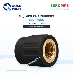 ren trong ppr europipe uv d20 1 2 pn20