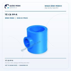 te cb ppr binh minh d40 32 pn20