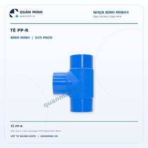 te ppr binh minh d25 pn20