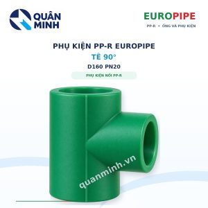 te ppr europipe d160 pn20