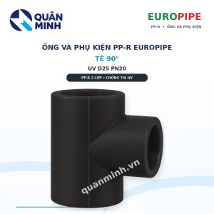 te ppr europipe uv d25 pn20