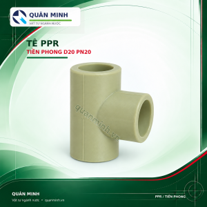 te ppr tien phong d20 pn20