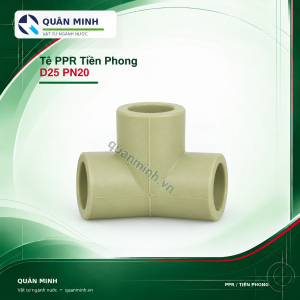 te ppr tien phong d25 pn20