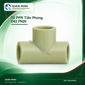 te ppr tien phong d63 pn20