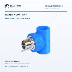 te ren ngoai ppr binh minh d25 3 4 pn20