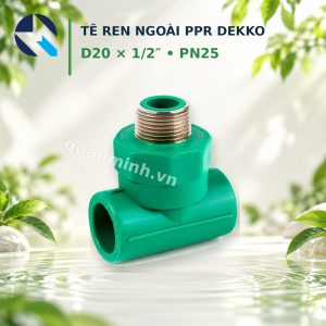 te ren ngoai ppr dekko d20 1 2 pn25