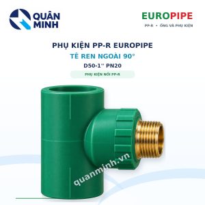 te ren ngoai ppr europipe d50 1 pn20